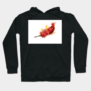 Phoenix - Feather Hoodie